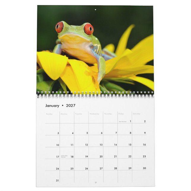 röd synad trädgroda, kalender för grodor 2011 (Jan 2027)