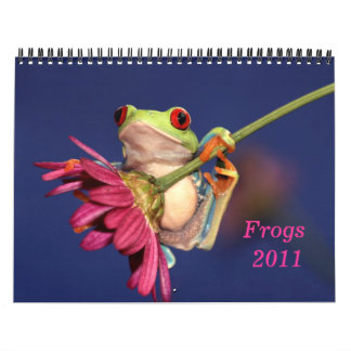 röd synad trädgroda, kalender för grodor 2011