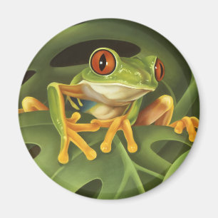 Röd synad trädgrodamagnet magnet