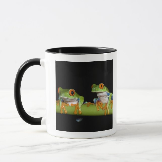 Röd-synade trädgrodor (Agalychnis callidryas) Mugg (Vänster)