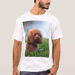 Röd T-tröja för leksakpudel T Shirt