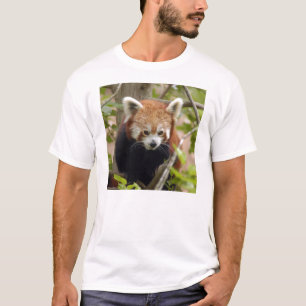 Röd T-tröja Panda-023 Tröja