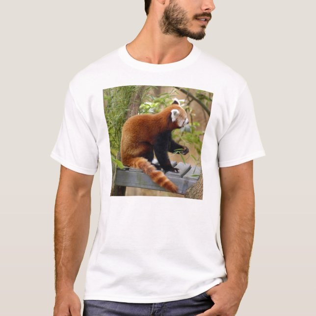 Röd T-tröja Panda-037 T-shirt (Framsida)