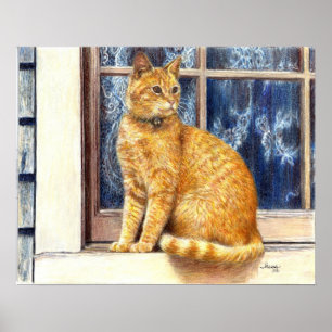 Röd tabby katt i fönsteraffischtryck poster