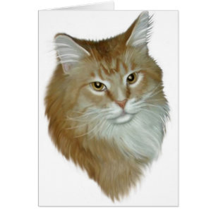 Röd TabbyMaine Coon OBS Kort