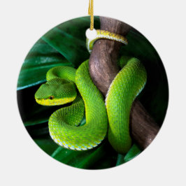 Röd-tailed bambupitviper julgransprydnad keramik