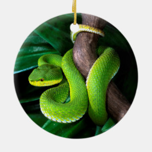 Röd-tailed bambupitviper julgransprydnad keramik