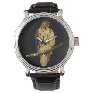 Röd Tailed hök Armbandsur