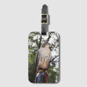 Röd-Tailed hök Bagagebricka
