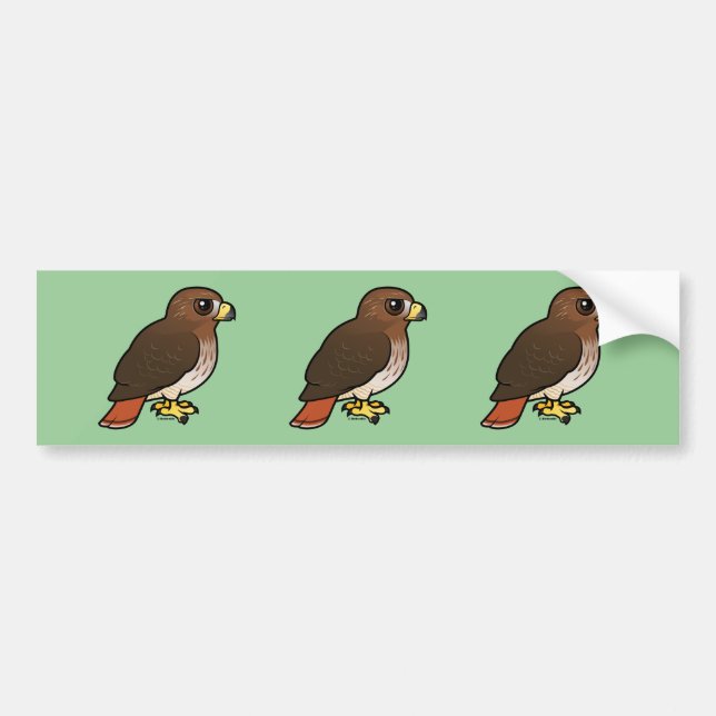 Röd-tailed hök bildekal (Framsidan)