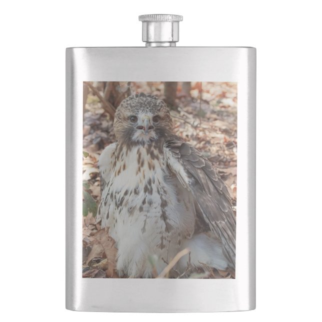 Röd Tailed hök Fickplunta (Framsidan)