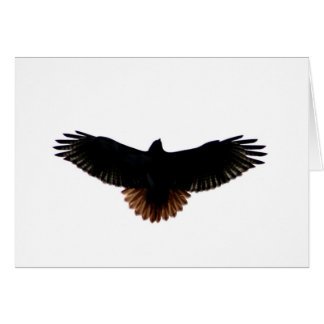 Röd-tailed hök hälsningskort