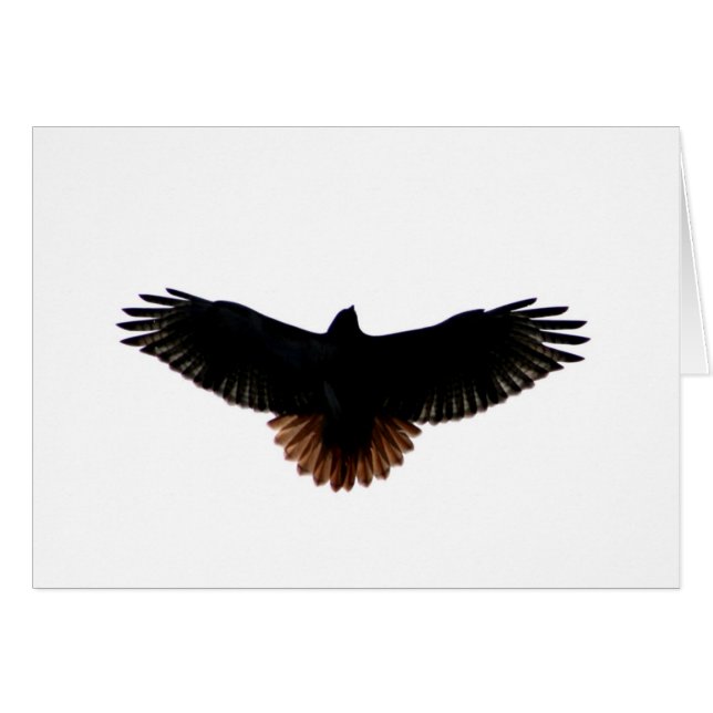 Röd-tailed hök hälsningskort (Framsidan Horizontal)