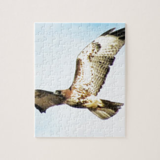 Röd-tailed hök i flygfoto pussel