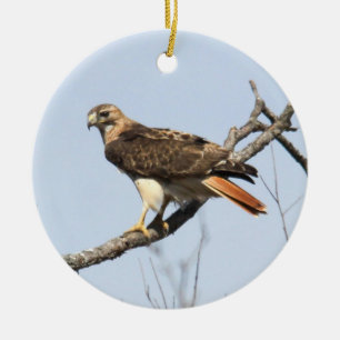 Röd-tailed hök julgransprydnad keramik