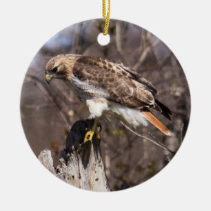Röd-tailed hök julgransprydnad keramik