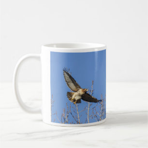 Röd-tailed hök kaffemugg