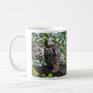 Röd-tailed hök kaffemugg