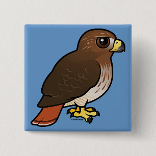 Röd-tailed hök knapp