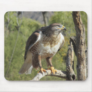 Röd Tailed hök Mousepad Musmatta
