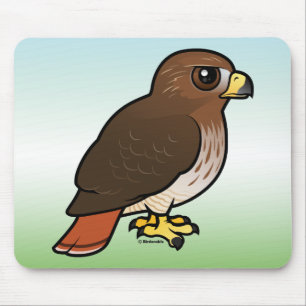 Röd-tailed hök musmatta