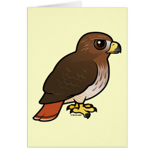 Röd-tailed hök OBS kort