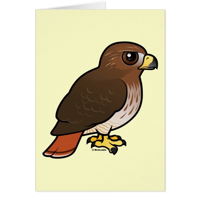 Röd-tailed hök OBS kort (Framsidan)