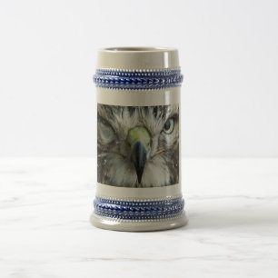 Röd-tailed hököl Stein Sejdel