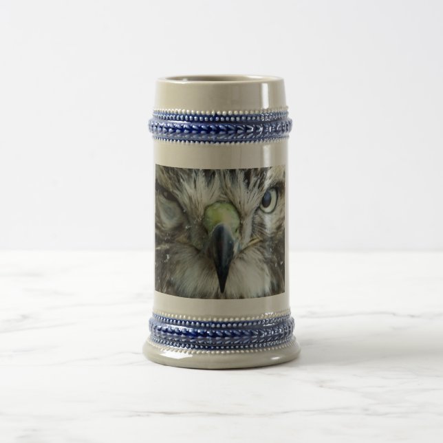Röd-tailed hököl Stein Sejdel (Center)