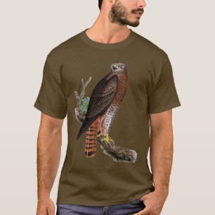 Röd-tailed svart hök tröja
