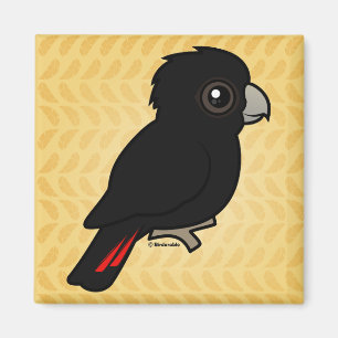 Röd-tailed svart kakadua magnet