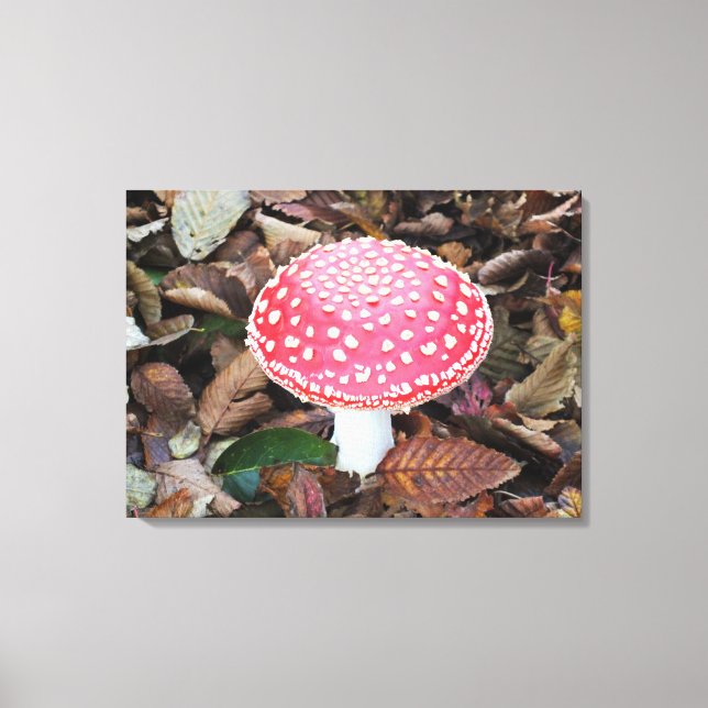 Röd toadstool, Amanita muscaria Canvastryck (Framsida)