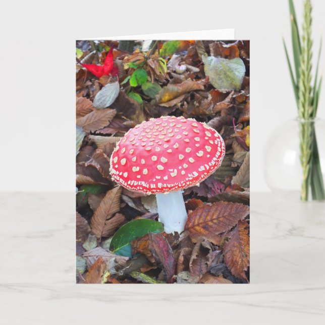 Röd toadstool helgkort (Framsida)