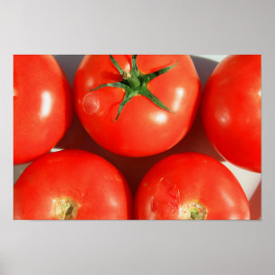 Röd tomataffisch poster
