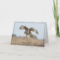 Röd-tråd-Hawk med Grattis på födelsedagen-kort