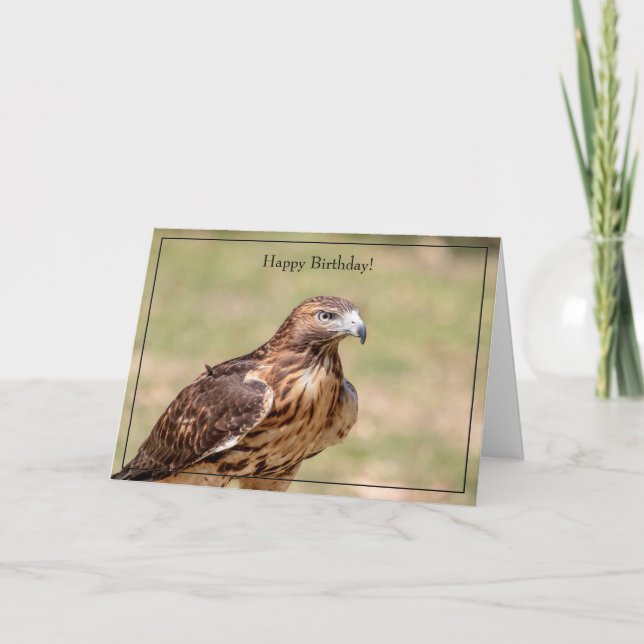 Röd-tråd-Hawk med Grattis på födelsedagen-kort Kort (Framsida)