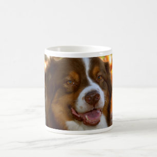 Röd Tri australian shepherdmugg Kaffemugg