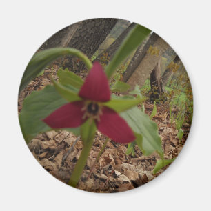 Röd Trillium Magnet