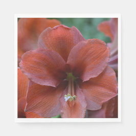 Röd tropisk blomma pappersservett