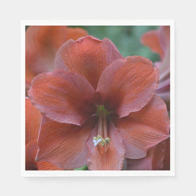 Röd tropisk blomma pappersservett (Framsidan)