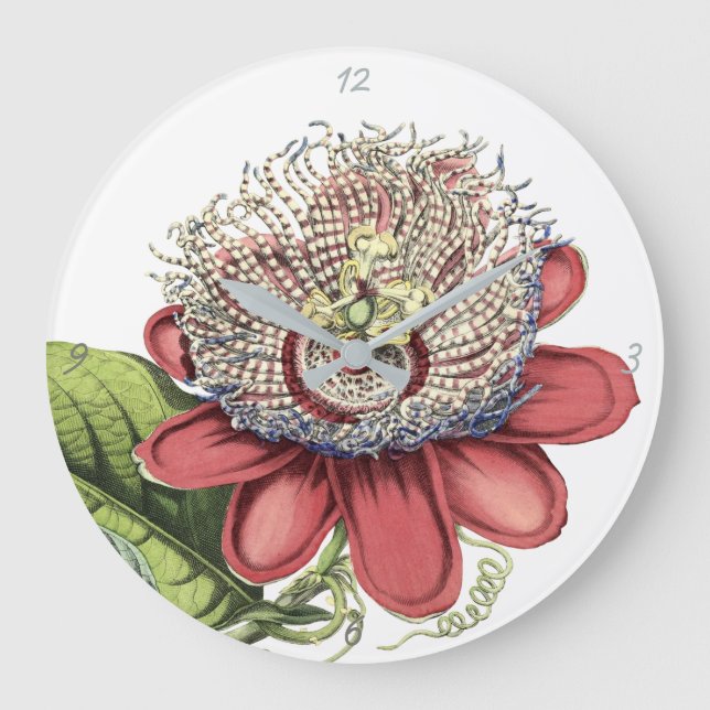 Röd tropisk passionsblomma stor klocka (Framsida)