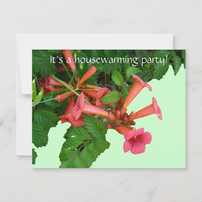 Röd trumpet Vine Houseuppvärmningsinbjudan Inbjudningar (Framsida)