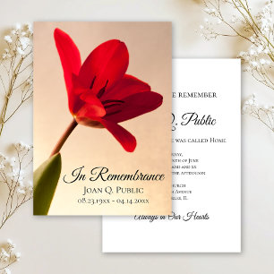 Röd Tulip Flower Vår Dödsminnesdag för Inbjudningar