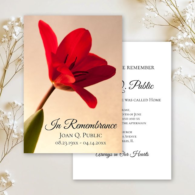 Röd Tulip Flower Vår Dödsminnesdag för Inbjudningar (Skapare uppladdad)
