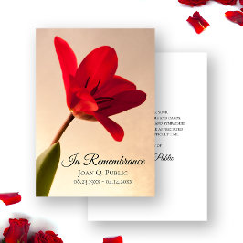 Röd tulip Flower Vår Funeral Memorial Sympathy Tack Kort