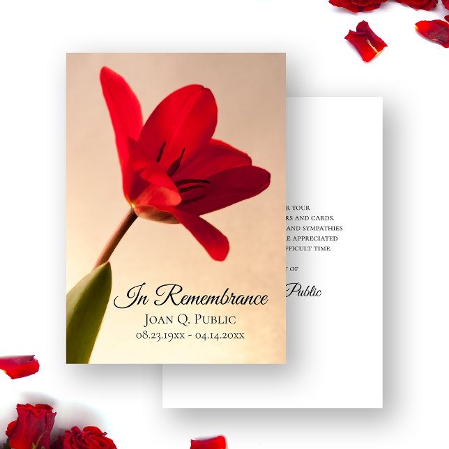 Röd tulip Flower Vår Funeral Memorial Sympathy Tack Kort (Skapare uppladdad)