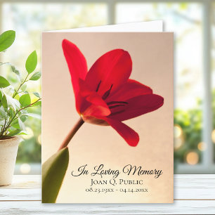 Röd tulip Flower Vår Funeral Memorial Sympathy Tack Kort
