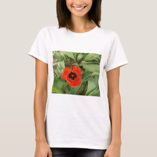 Röd Tulpan Dam T-Shirt