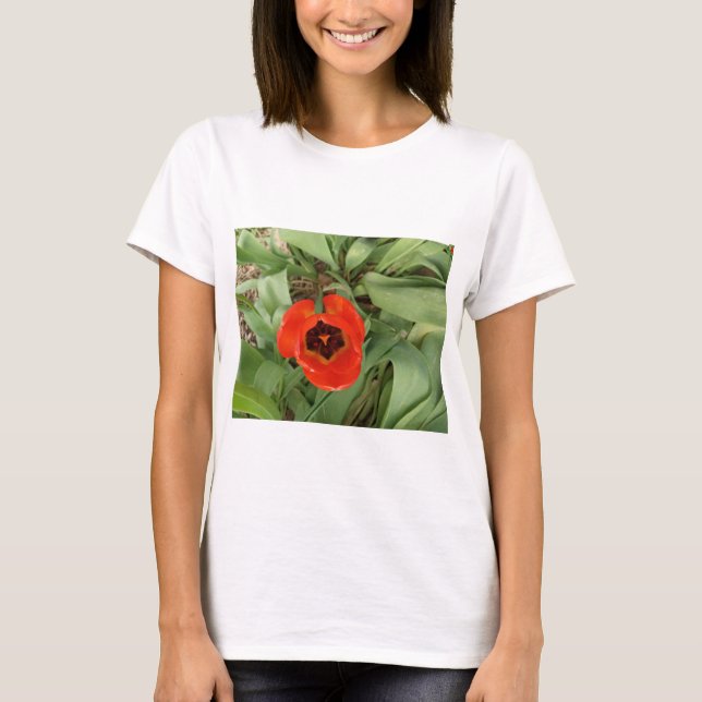 Röd Tulpan Dam T-Shirt (Framsida)