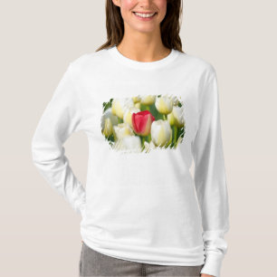 Röd tulpan i ett fält av vittulpan t shirt